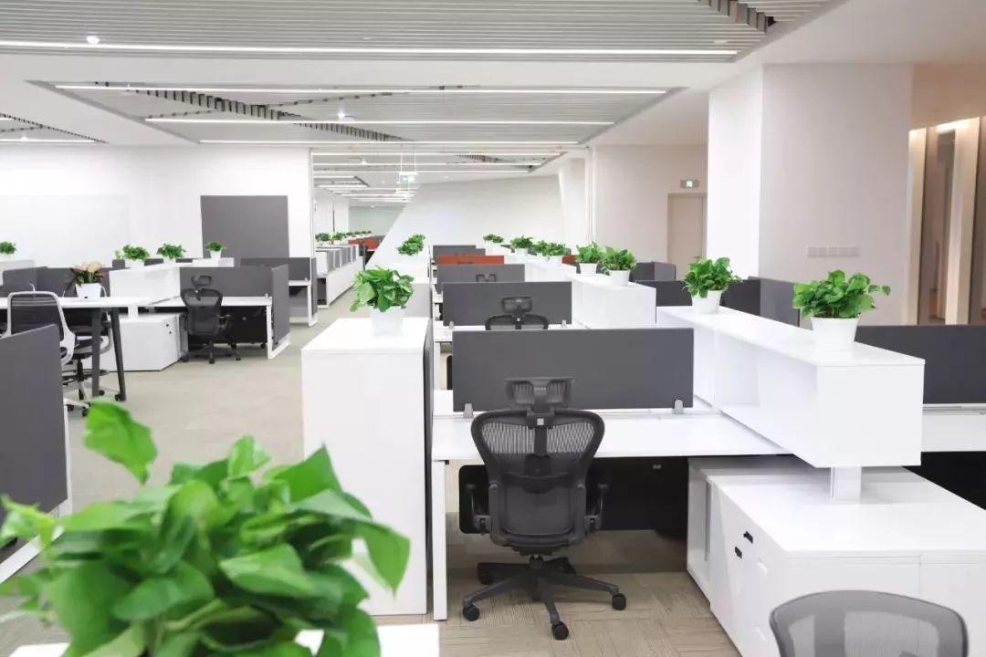 8ff7eb2495524c19824c8a3588d92c3b.jpeg 8ff7eb2495524c19824c8a3588d92c3b.jpeg